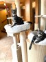 Sam_Sally (3)